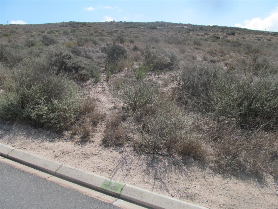 0 Bedroom Property for Sale in Britannica Heights Western Cape